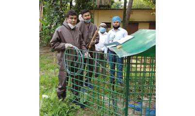 BADC Survey Monitoring