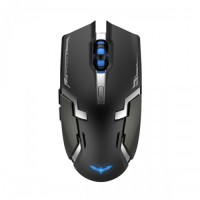 HAVIT MS997GT Wireless Optical Mouse